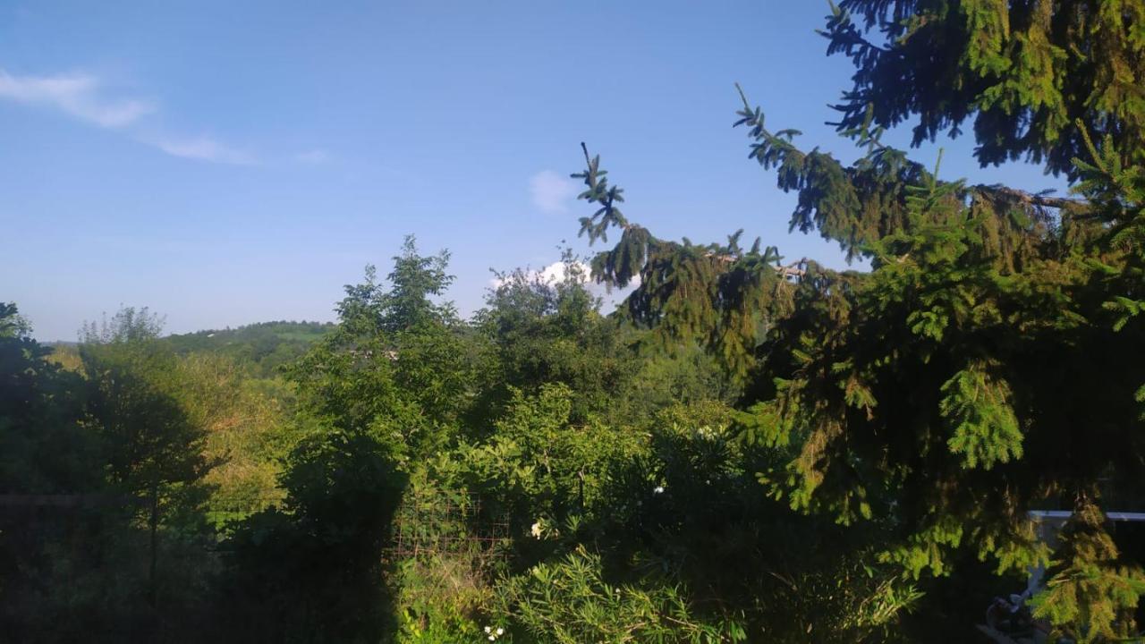 B&B Naturin - Cascina Colombaro Lauriano Buitenkant foto