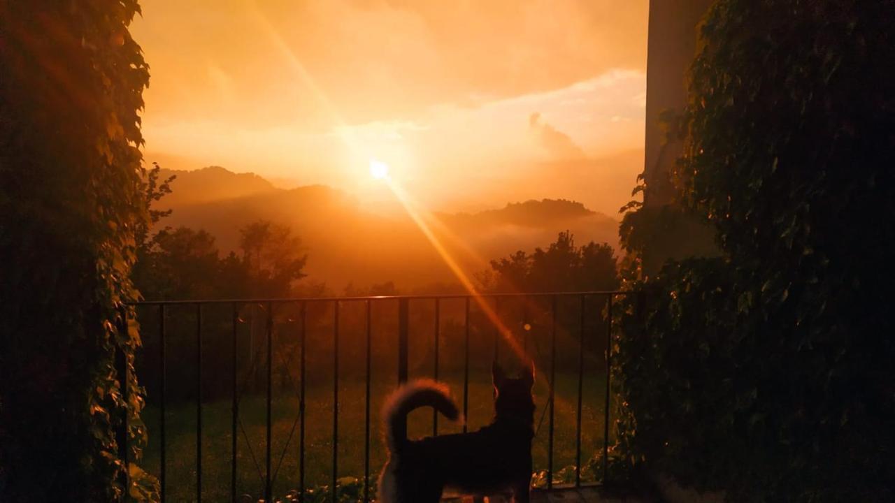 B&B Naturin - Cascina Colombaro Lauriano Buitenkant foto