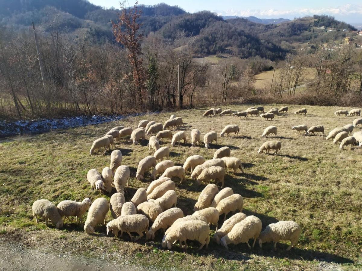 B&B Naturin - Cascina Colombaro Lauriano Buitenkant foto