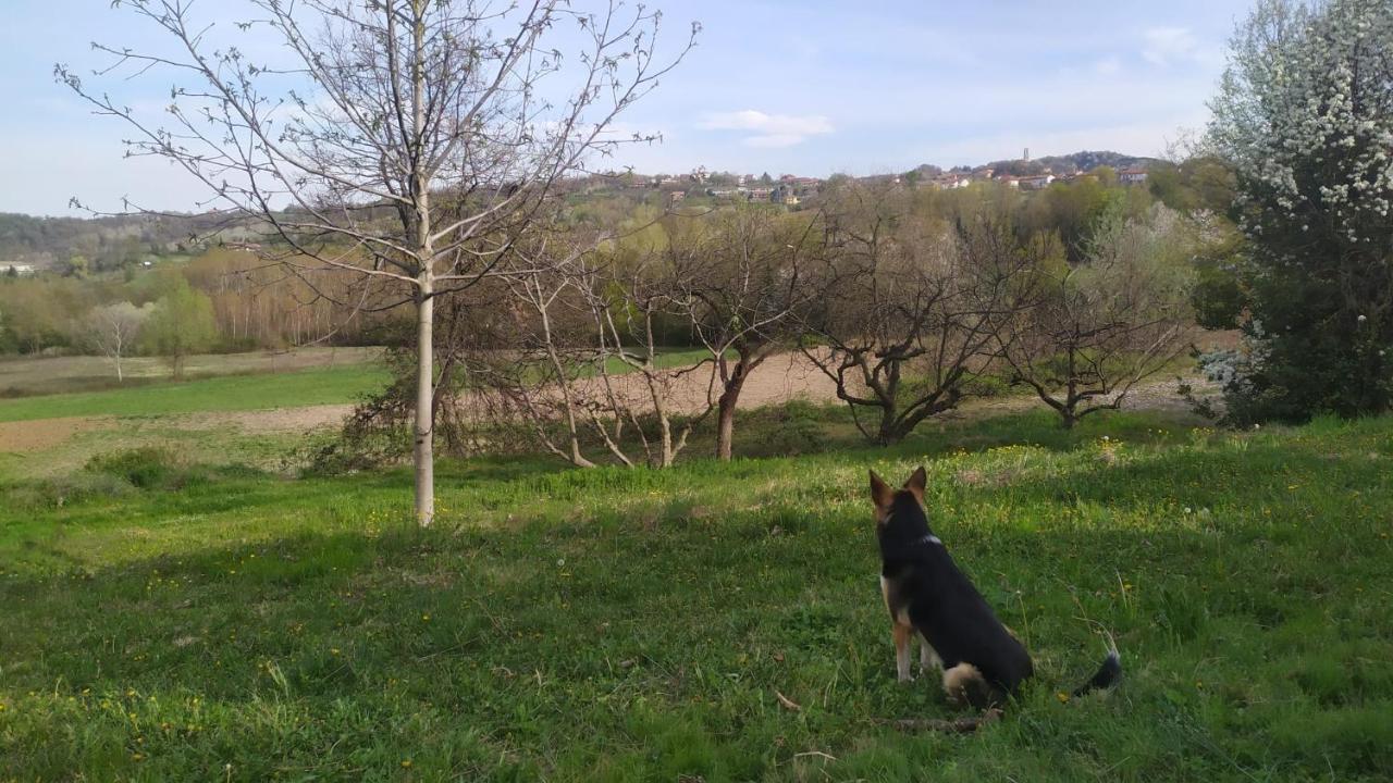 B&B Naturin - Cascina Colombaro Lauriano Buitenkant foto