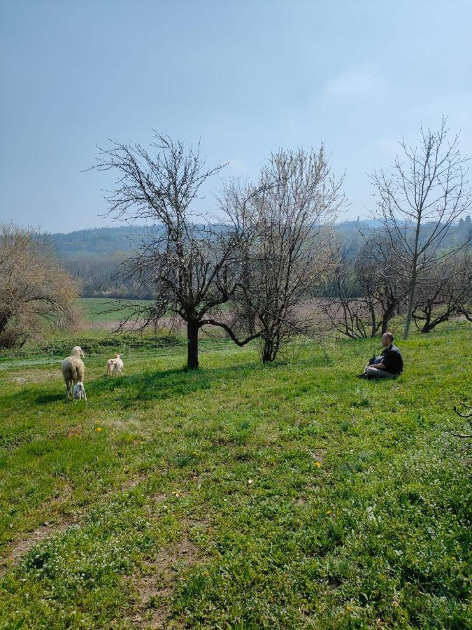 B&B Naturin - Cascina Colombaro Lauriano Buitenkant foto